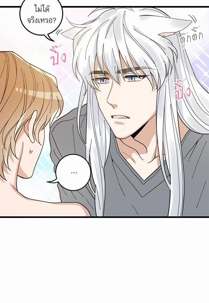 My One and Only Cat ตอนที่ 1628