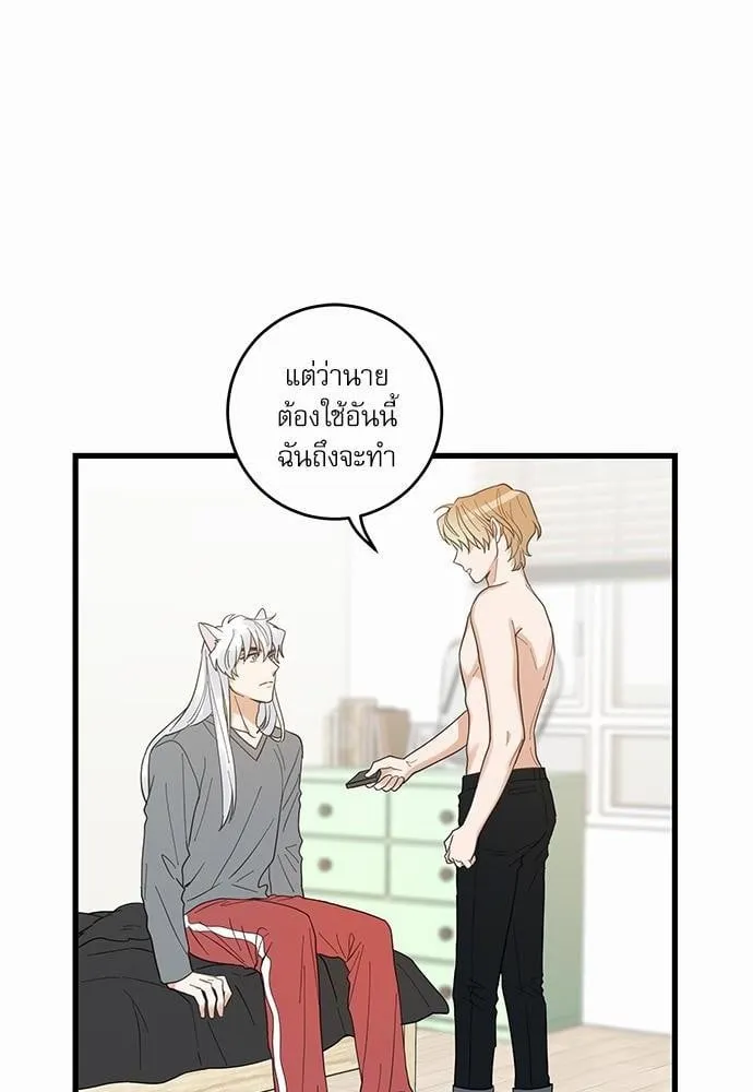My One and Only Cat ตอนที่ 1634