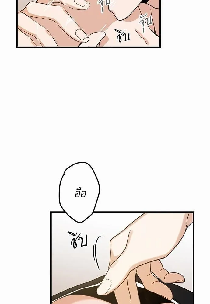 My One and Only Cat ตอนที่ 1656