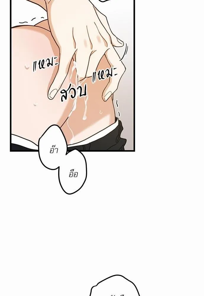 My One and Only Cat ตอนที่ 1658