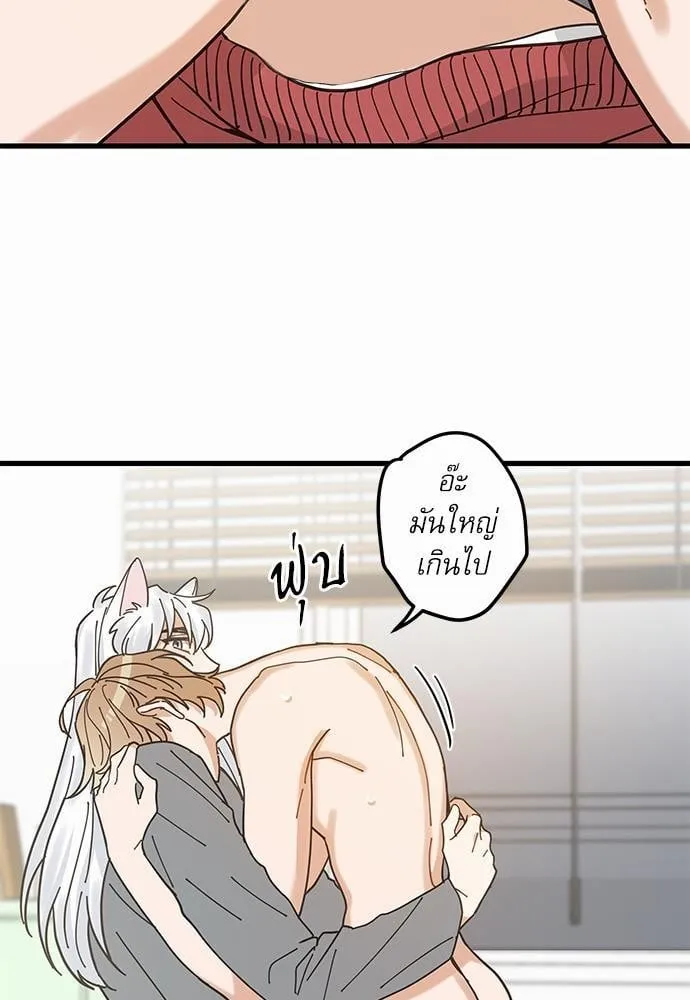 My One and Only Cat ตอนที่ 1665