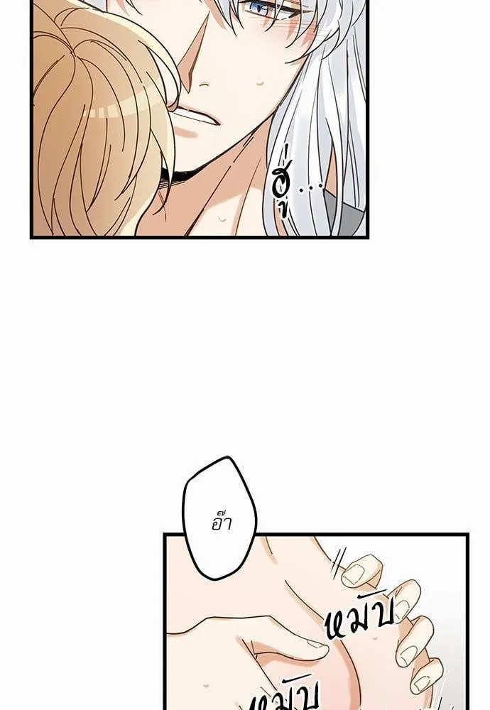 My One and Only Cat ตอนที่ 1667