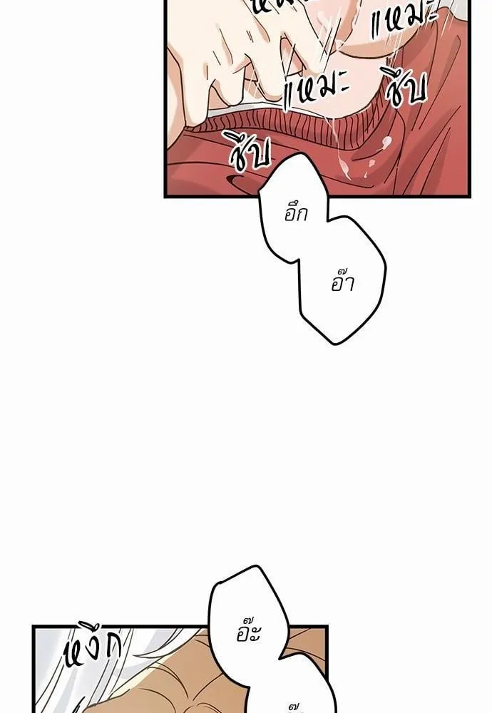 My One and Only Cat ตอนที่ 1668