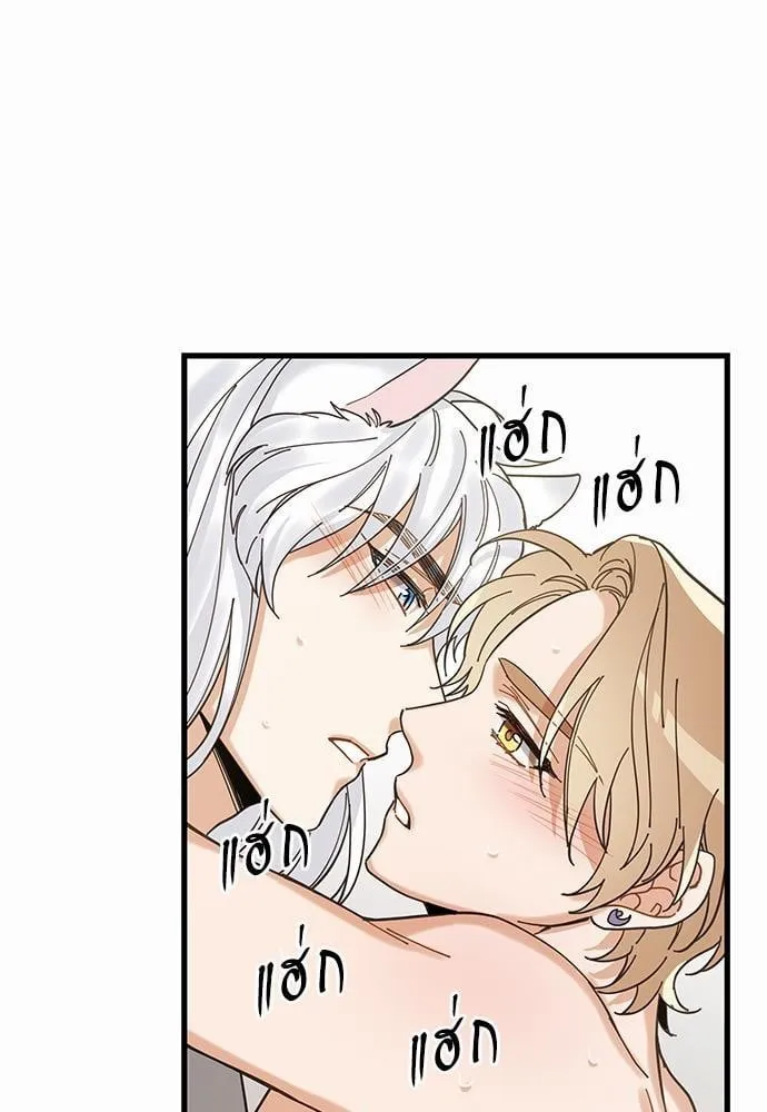 My One and Only Cat ตอนที่ 1671