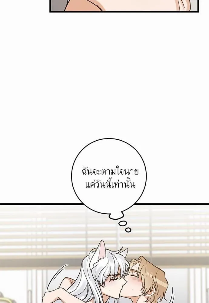 My One and Only Cat ตอนที่ 1672