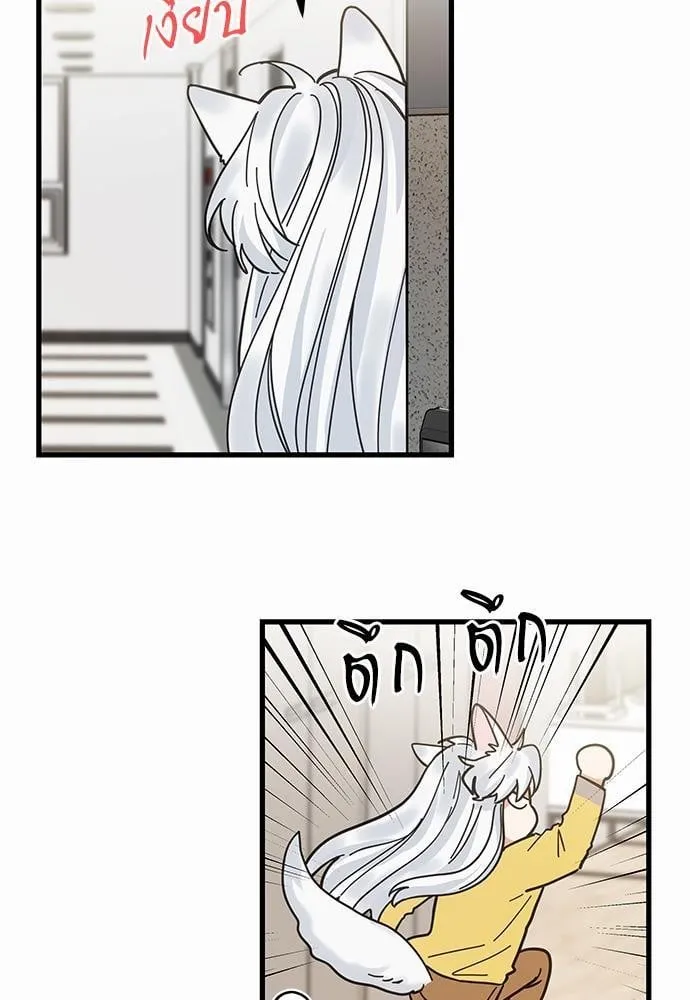 My One and Only Cat ตอนที่ 1705