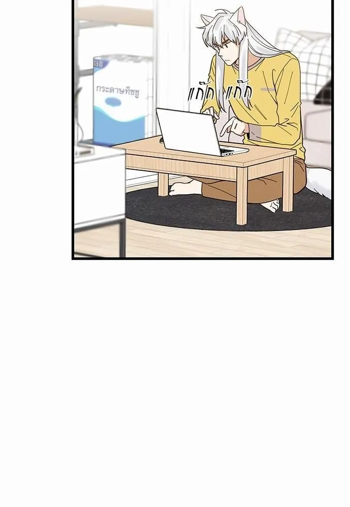 My One and Only Cat ตอนที่ 1708