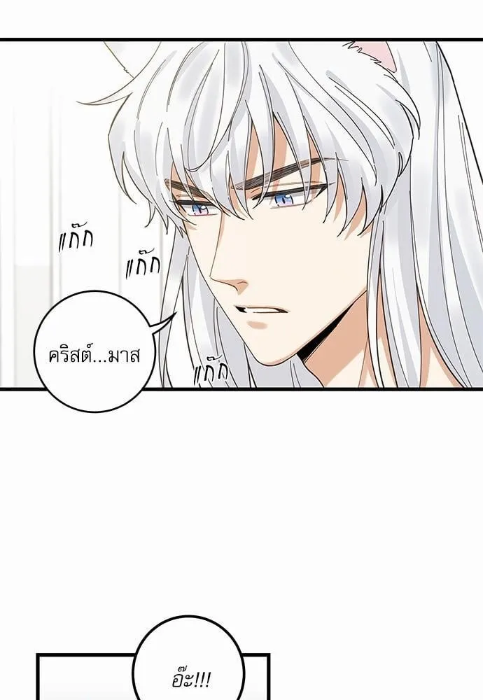 My One and Only Cat ตอนที่ 1709