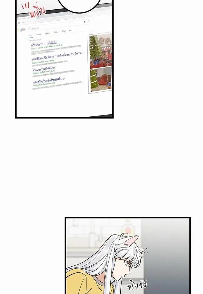 My One and Only Cat ตอนที่ 1710