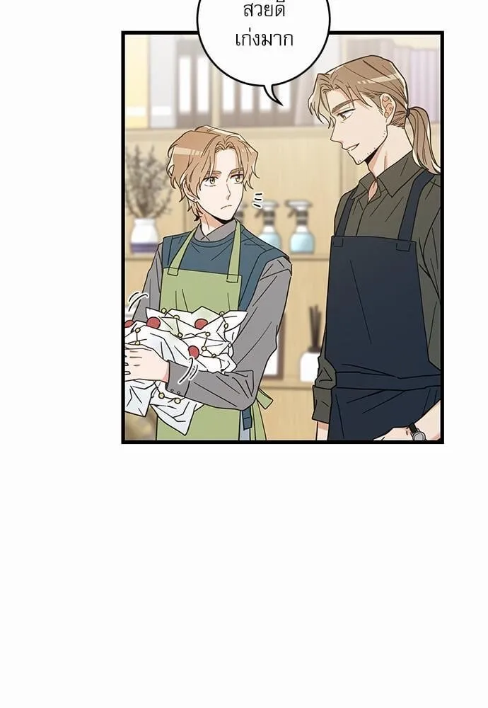 My One and Only Cat ตอนที่ 1719