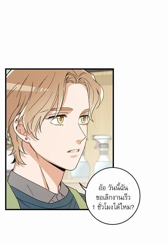 My One and Only Cat ตอนที่ 1725