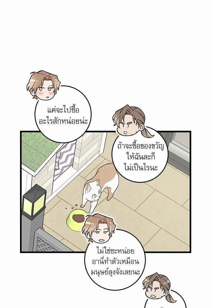 My One and Only Cat ตอนที่ 1727