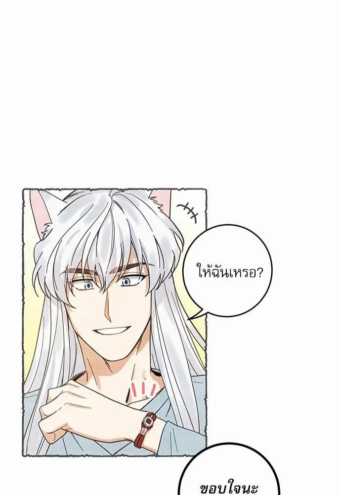 My One and Only Cat ตอนที่ 1749