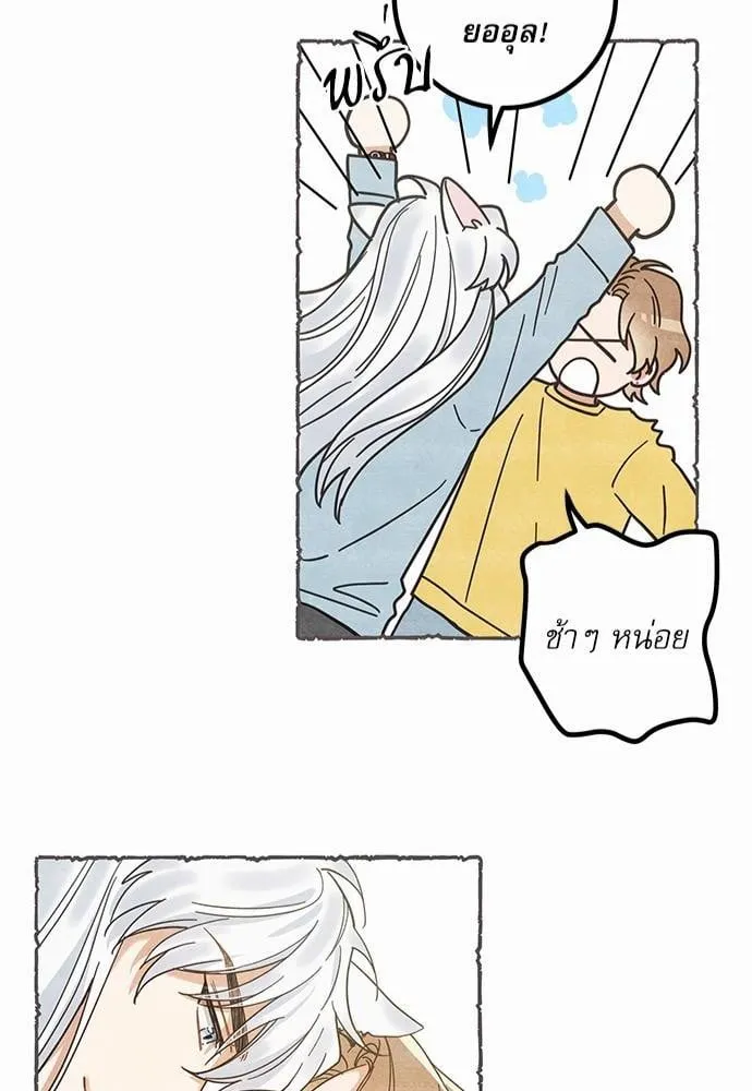 My One and Only Cat ตอนที่ 1750