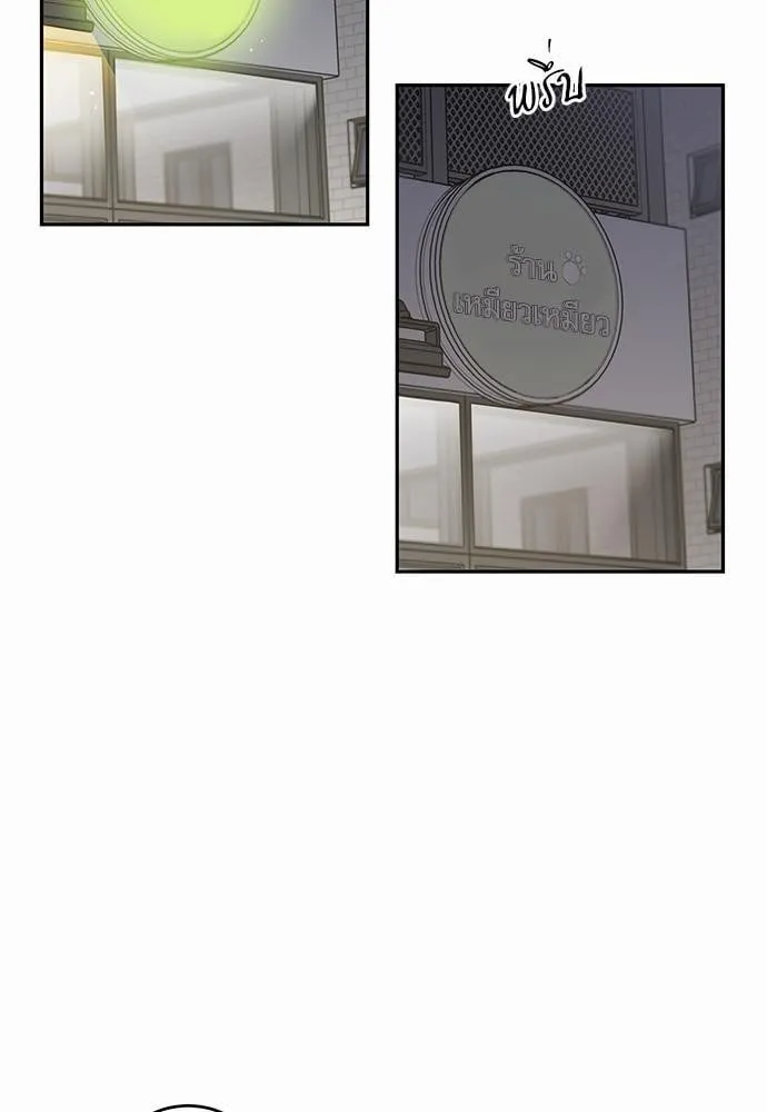 My One and Only Cat ตอนที่ 1807