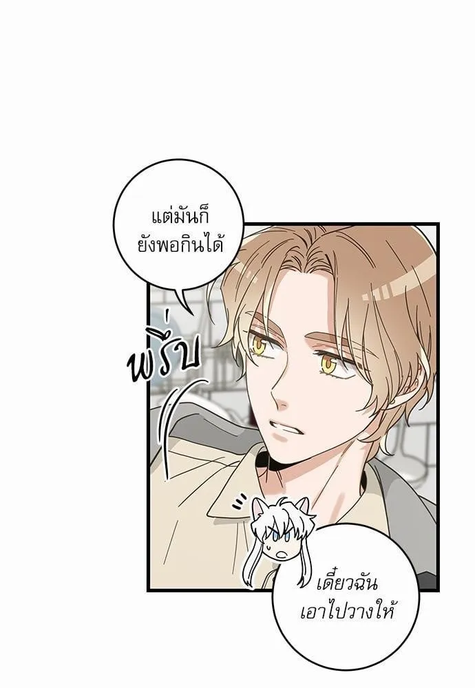 My One and Only Cat ตอนที่ 1833