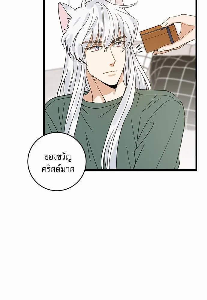 My One and Only Cat ตอนที่ 1837