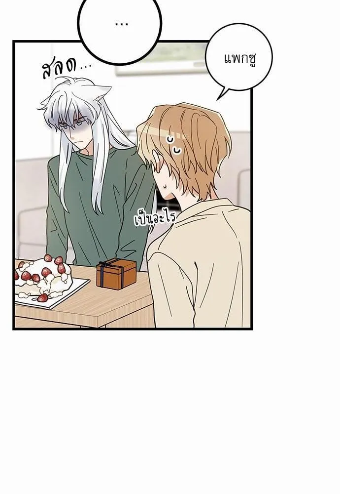 My One and Only Cat ตอนที่ 1840