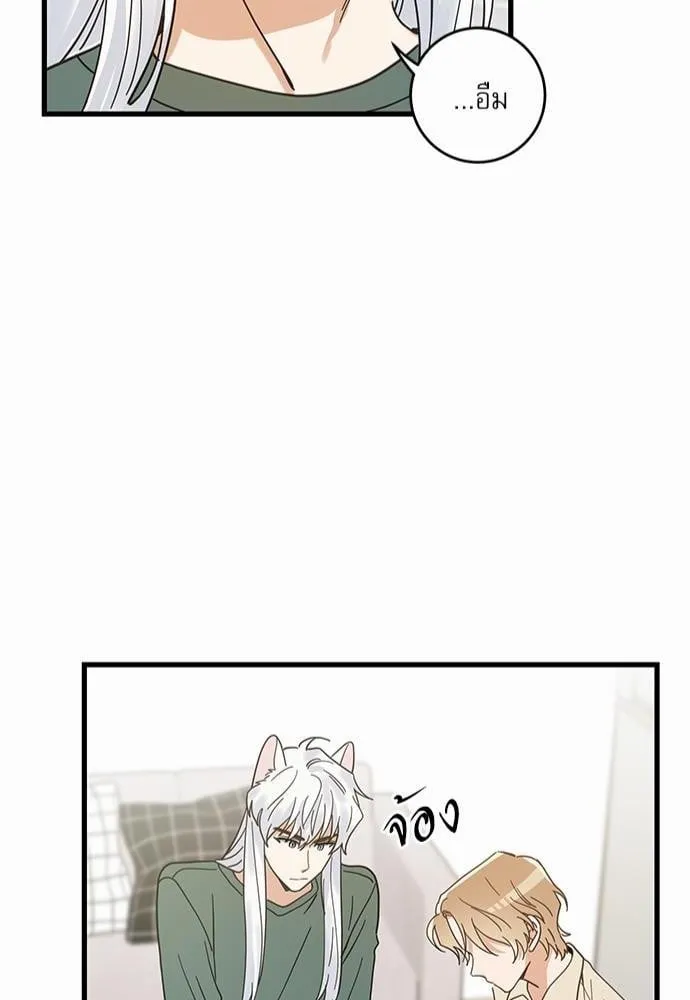 My One and Only Cat ตอนที่ 1846