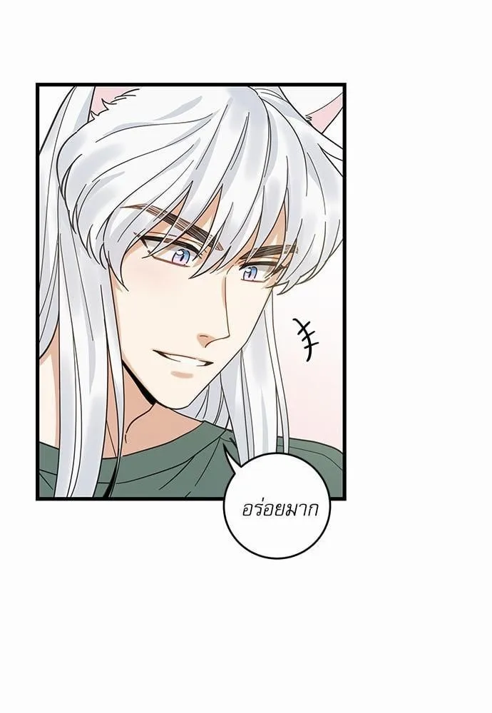 My One and Only Cat ตอนที่ 1849