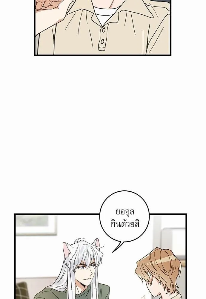 My One and Only Cat ตอนที่ 1852