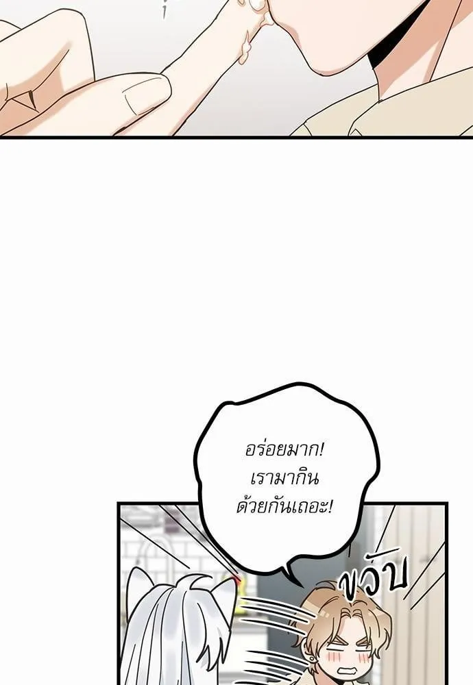 My One and Only Cat ตอนที่ 1856