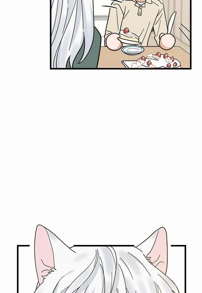 My One and Only Cat ตอนที่ 1857