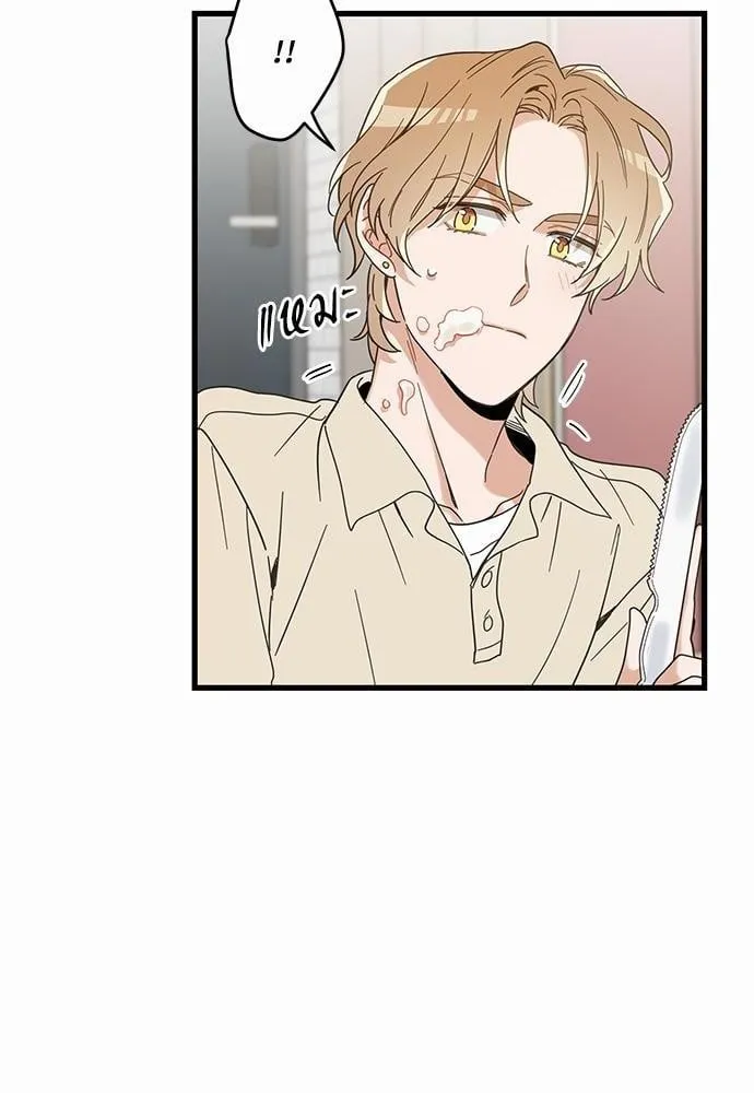 My One and Only Cat ตอนที่ 1860