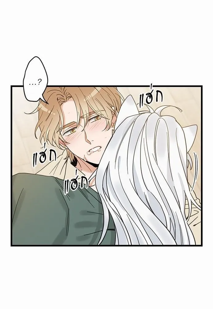 My One and Only Cat ตอนที่ 1865