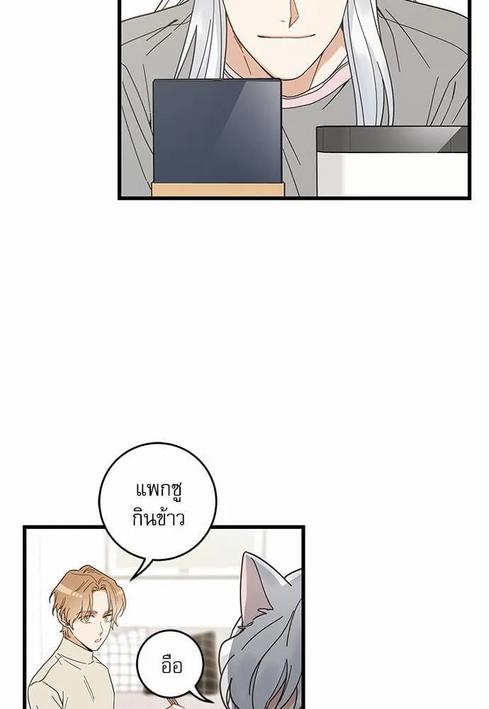 My One and Only Cat ตอนที่ 1903