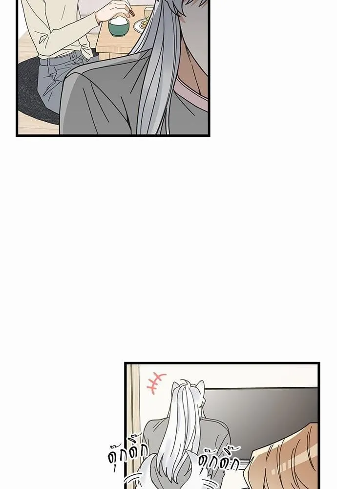 My One and Only Cat ตอนที่ 1904