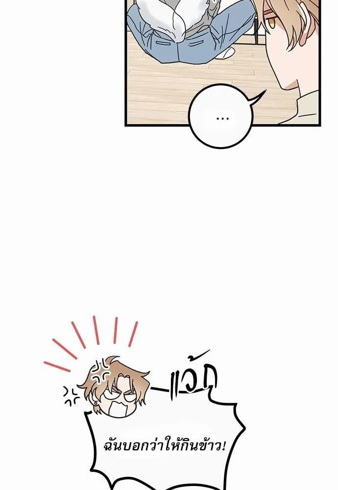 My One and Only Cat ตอนที่ 1905