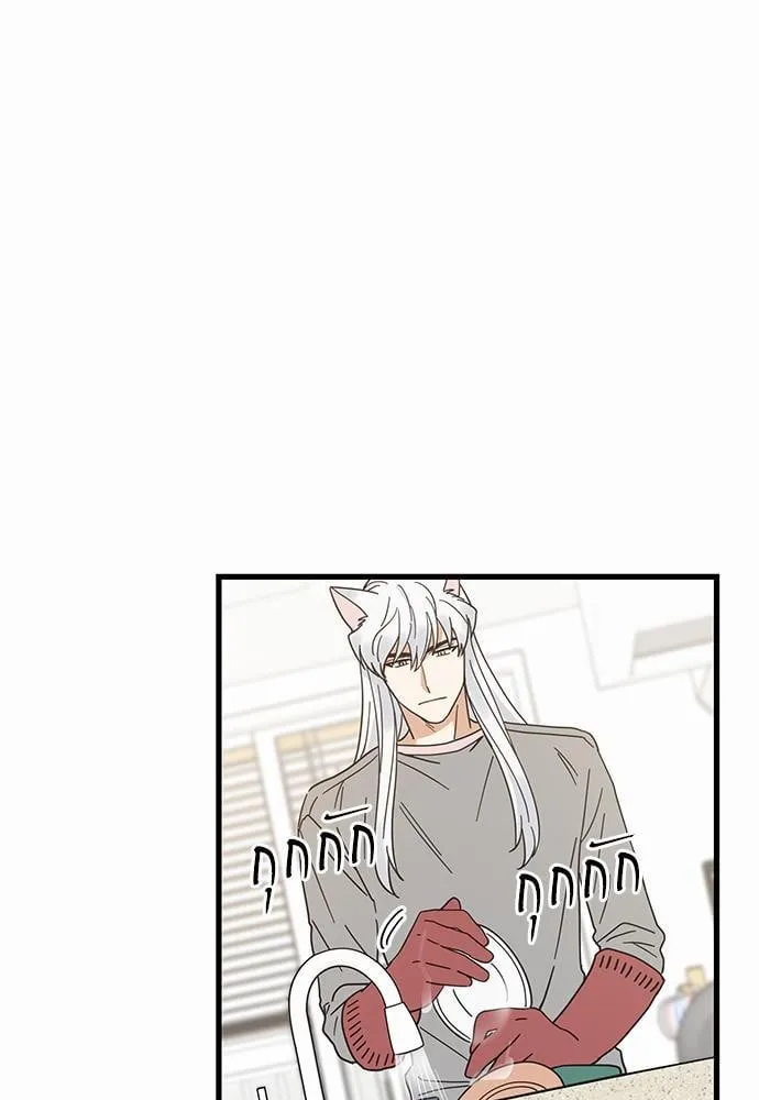 My One and Only Cat ตอนที่ 1909