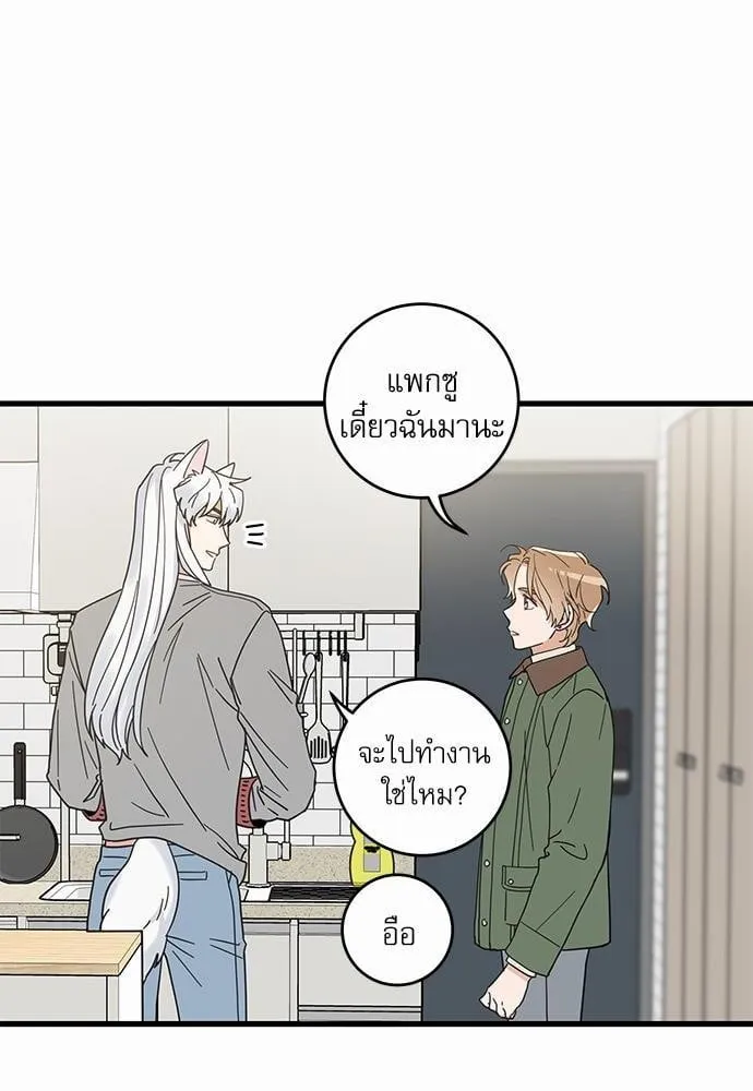 My One and Only Cat ตอนที่ 1912