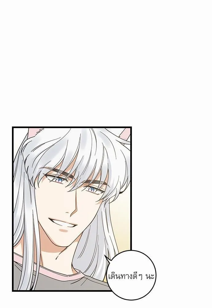 My One and Only Cat ตอนที่ 1913