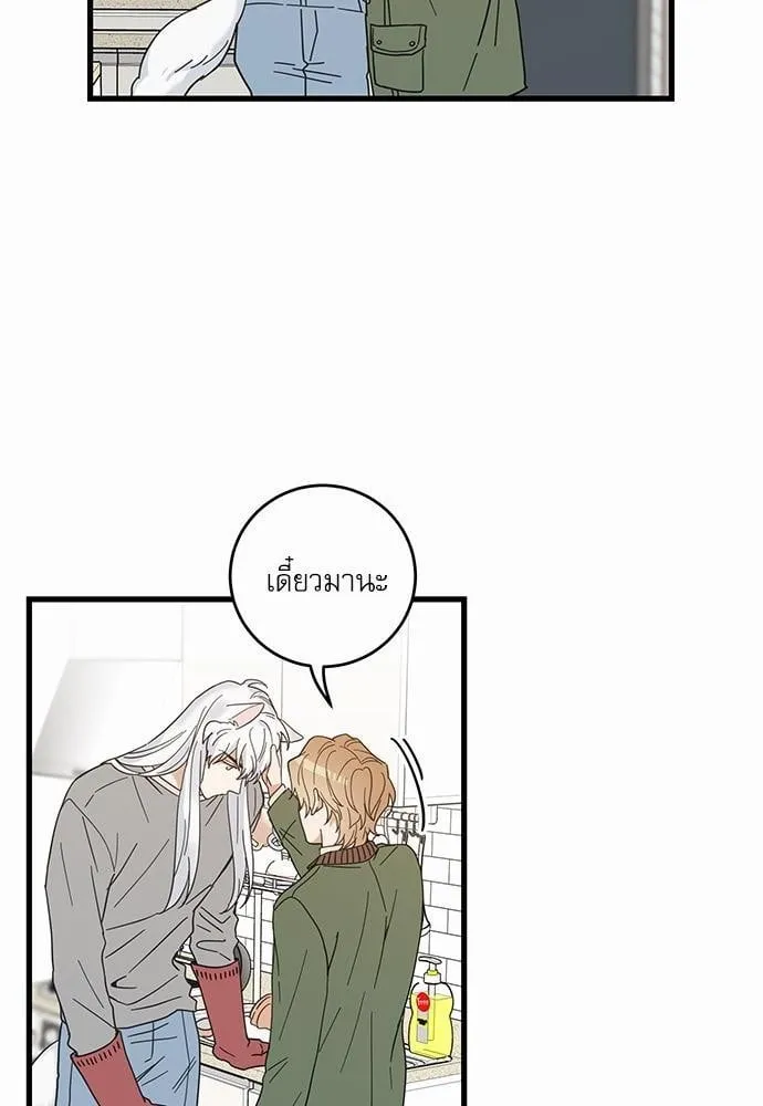 My One and Only Cat ตอนที่ 1916