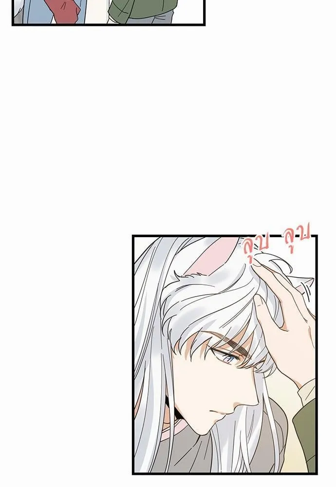 My One and Only Cat ตอนที่ 1917