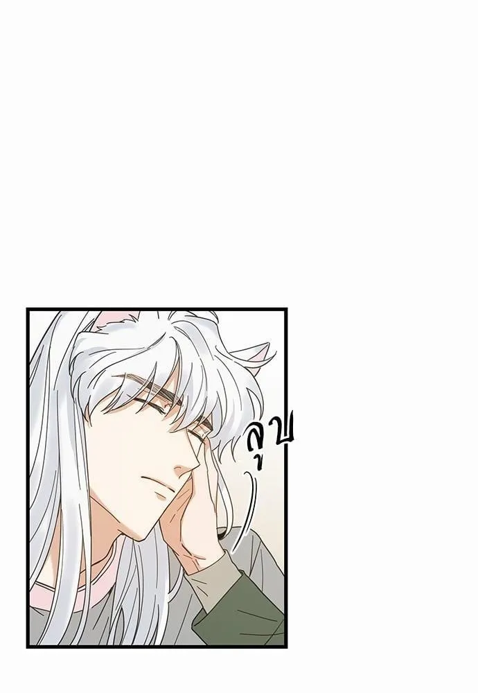 My One and Only Cat ตอนที่ 1918