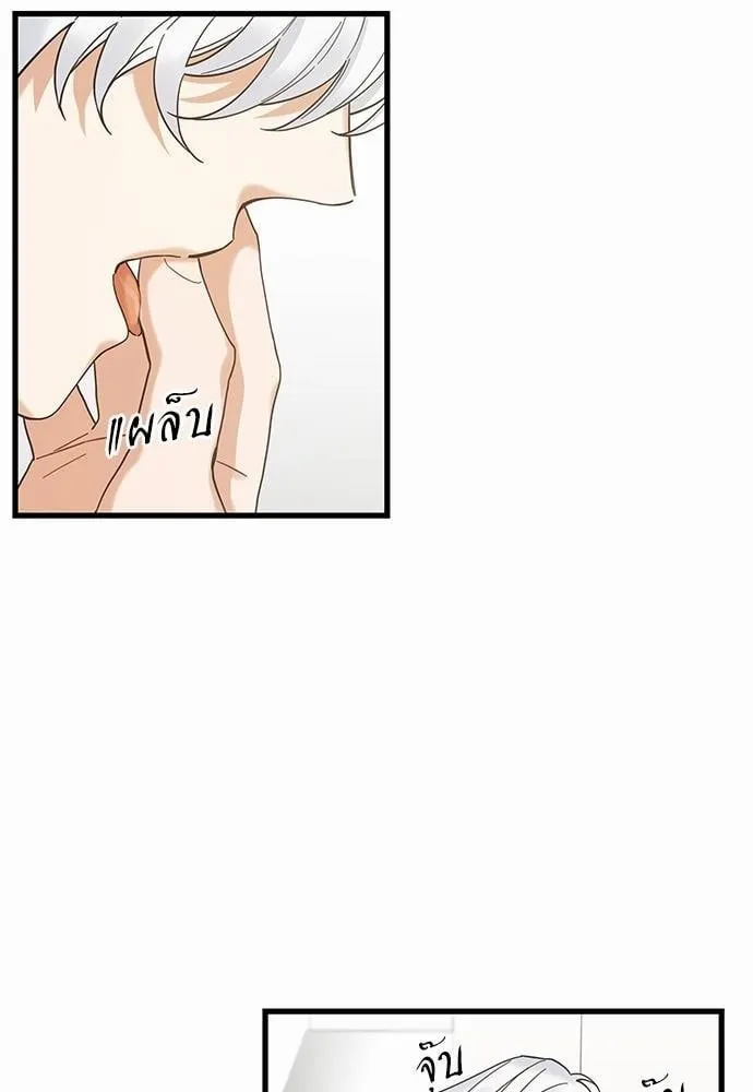 My One and Only Cat ตอนที่ 1920