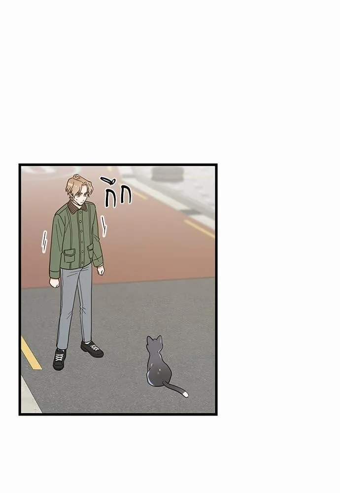 My One and Only Cat ตอนที่ 1931