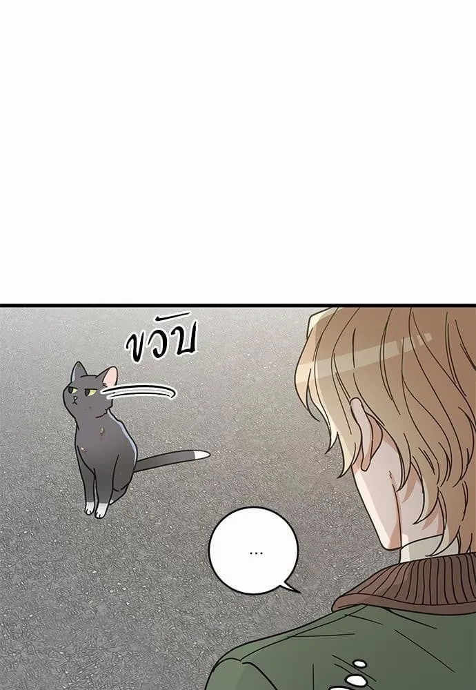 My One and Only Cat ตอนที่ 1933