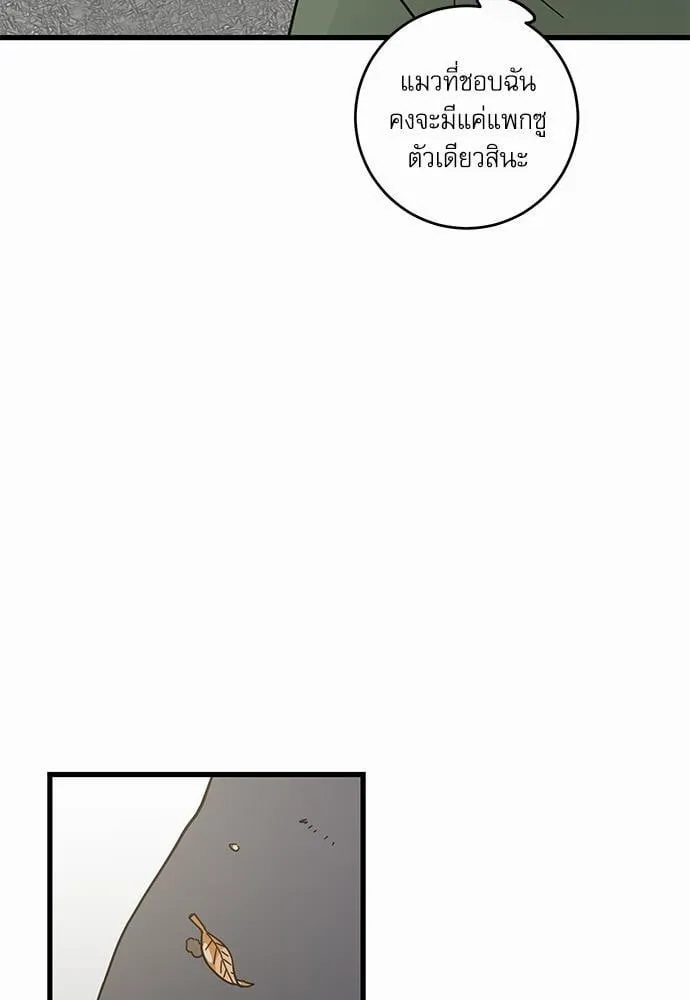 My One and Only Cat ตอนที่ 1934