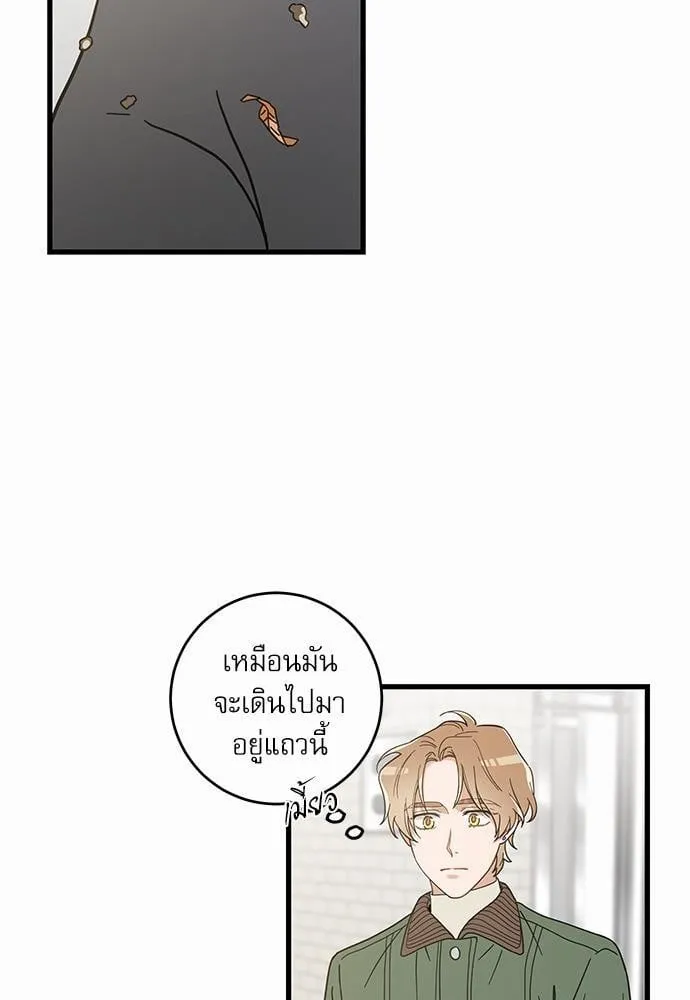 My One and Only Cat ตอนที่ 1935