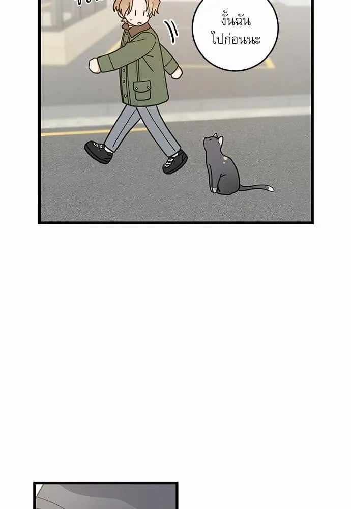 My One and Only Cat ตอนที่ 1937