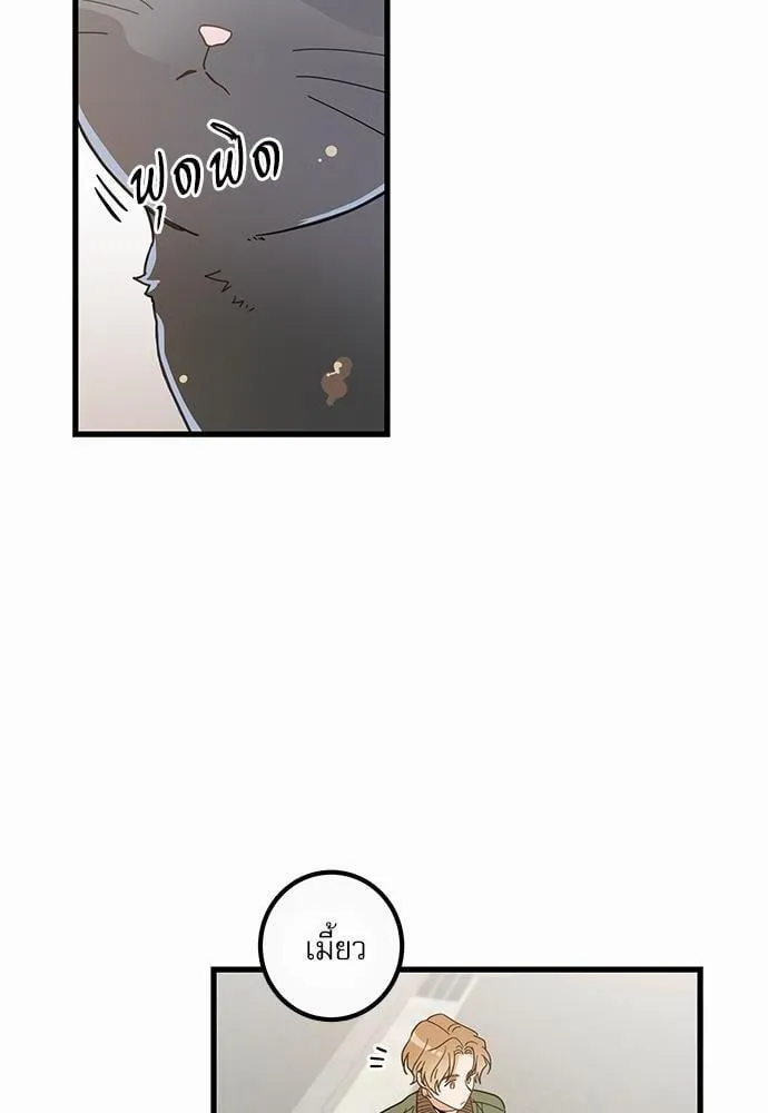 My One and Only Cat ตอนที่ 1938