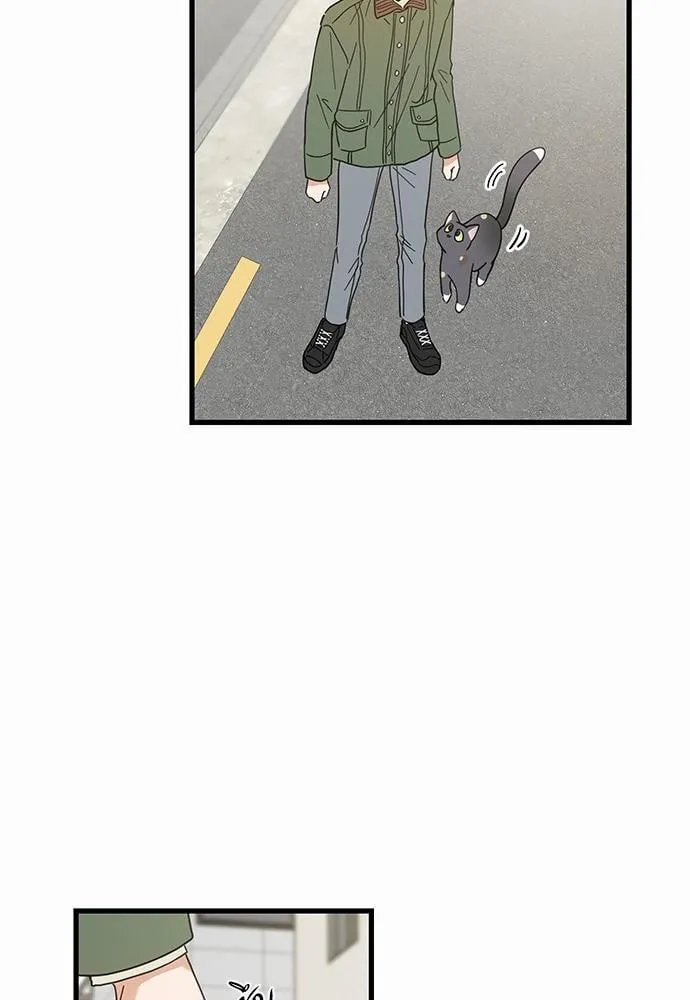 My One and Only Cat ตอนที่ 1939