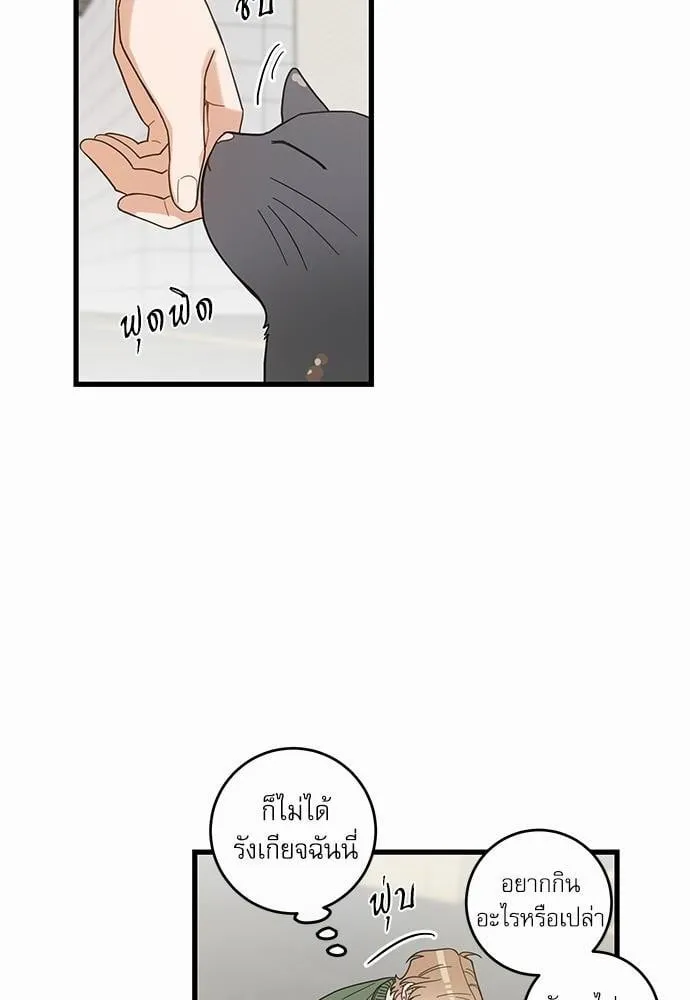 My One and Only Cat ตอนที่ 1940