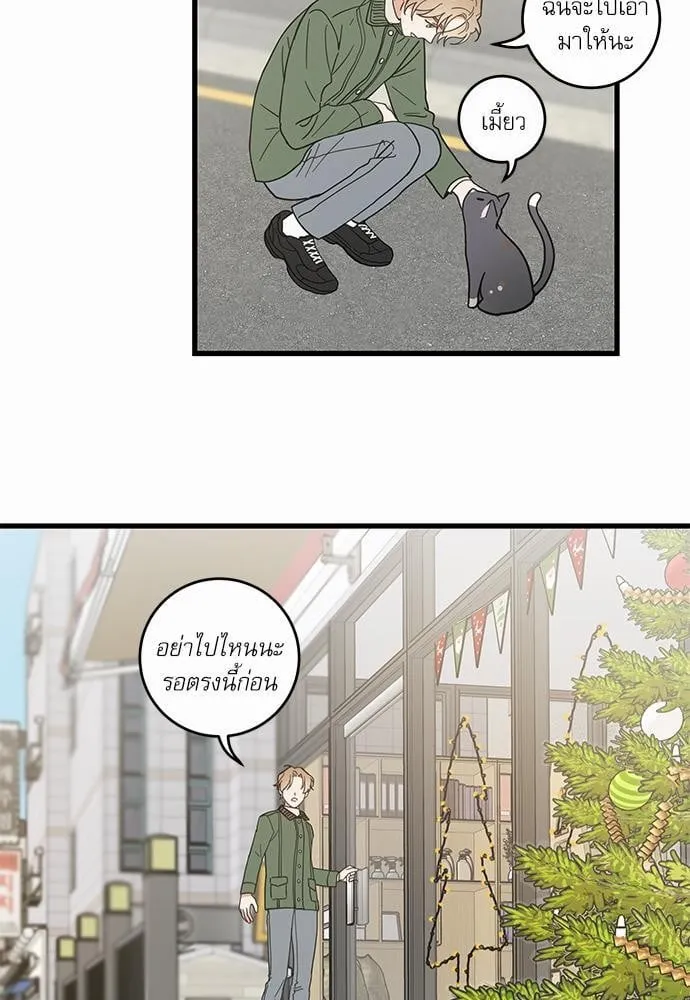 My One and Only Cat ตอนที่ 1941