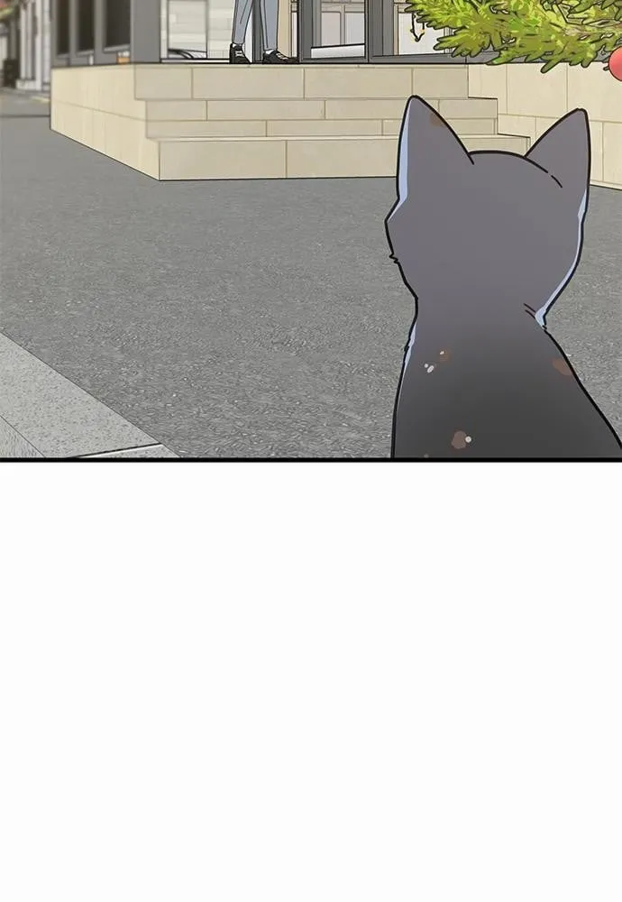 My One and Only Cat ตอนที่ 1942