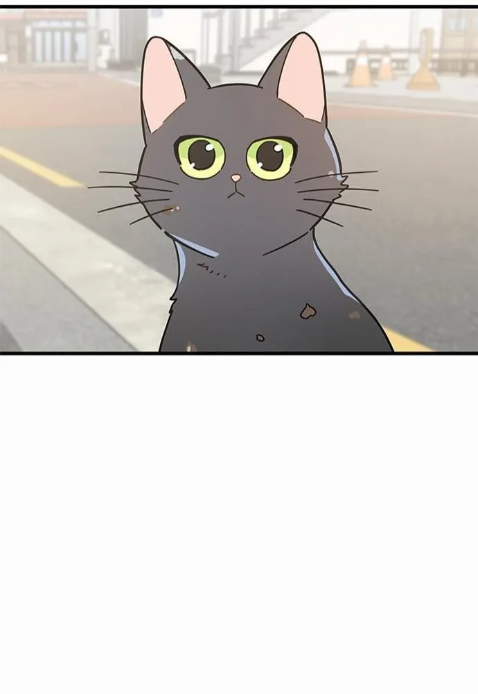 My One and Only Cat ตอนที่ 1943